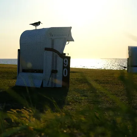 Διαμέρισμα Neu Seit 2023 No 6 Friesenhuus *